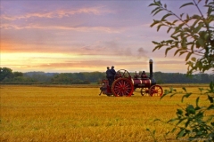 Website Gallery Image ~ At the end of the day~ Cotswolds