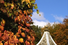 Website Gallery Image ~ Autumn Colour ~ Hidcote