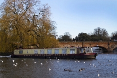 Website Gallery Image ~ Dinner-upon-Avon ~ Stratford-upon-Avon