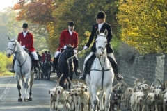 Website Gallery Image ~ Horses and Hounds~ Yorkshire