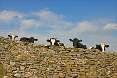 Website Gallery Image ~ Overview ~ Yorkshire