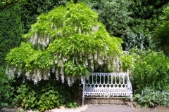 Website Gallery Image ~ Shady Seat ~ Hidcote