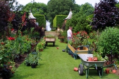 Website Gallery Image ~ The Plantsman ~ Hidcote