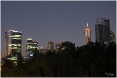SA&WA~2019~3937