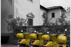 ITALY 2019 ~ CAstellina-in-Chianti ~ C