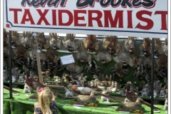 Chatsworth Country Fair 2018 ~ 2708