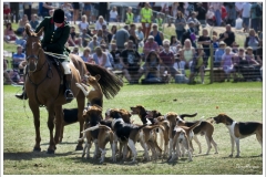 Chatsworth Country Fair 2018 ~ 2723