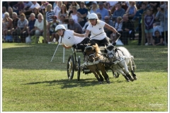 Chatsworth Country Fair 2018 ~ 2817