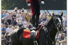 Chatsworth Country Fair 2018 ~ 2675
