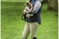 Chatsworth 2018~5555A