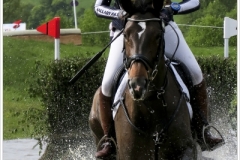Chatsworth 2018~1945A