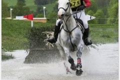Chatsworth 2018~2295A