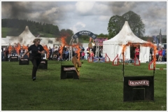 Chatsworth 2018~1991A