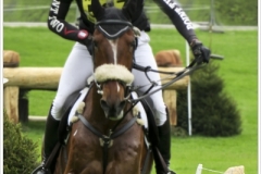 Chatsworth 2018~2057A