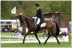 Chatsworth 2018~2070A