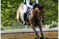 Chatsworth 2018~2134A
