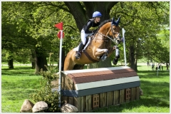 Chatsworth 2018~2173A