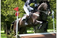 Chatsworth 2018~2202A