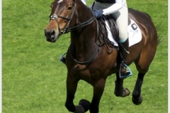 Chatsworth 2019 ~ 4856