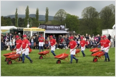 Chatsworth 2019 ~ 4862