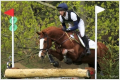 Chatsworth 2019 ~ 4868