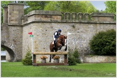 Chatsworth 2019 ~ 4870