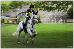 Chatsworth 2019 ~ 4890
