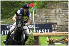 Chatsworth 2019 ~ 4894