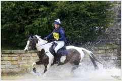 Chatsworth 2019 ~ 4902