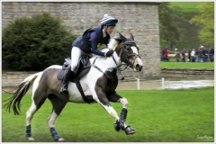 Chatsworth 2019 ~ 4905