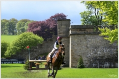 Chatsworth 2019 ~ 4922