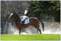 Chatsworth 2019 ~ 4923