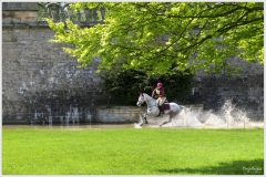 Chatsworth 2019 ~ 4931