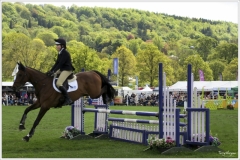 Chatsworth 2019 ~ 5077