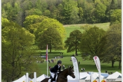Chatsworth 2019 ~ 5078
