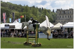 Chatsworth 2019 ~ 5081