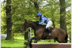 Chatsworth 2019 ~ 5098