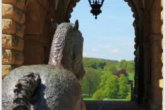 Chatsworth 2019 ~ 5143