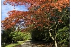 Derbyshire ~ October 2018 ~ 2852
