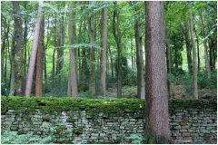 Images of Derbyshire 2020 ~ 7048
