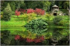 Images of Derbyshire 2020 ~ 7067