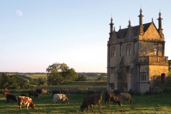 Website Gallery Image ~ Evening Banquet ~ Chipping Campden
