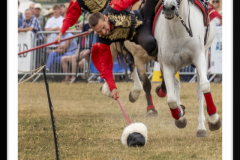 Game Fair Ragley Hall~290722~8079