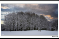 Image of the month~ JANUARY~Cotswolds