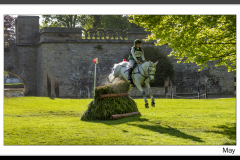 Image of the month~ MAY~ Chatsworth Horse Trails~May 2022~7696A