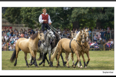 Chatsworth Country Fair 2022~8383A