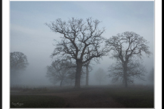 Blickling Park~ Morning dog walk~083735A