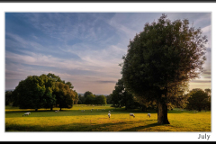 Hidcote ~ 190724 ~201344