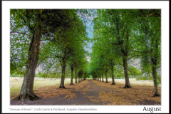 Croft Castle & Parkland NT~ Aug2025~113911A