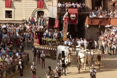 Destination Siena ~ IMG_0500_ Siena Piazza del Campo on Palio Day